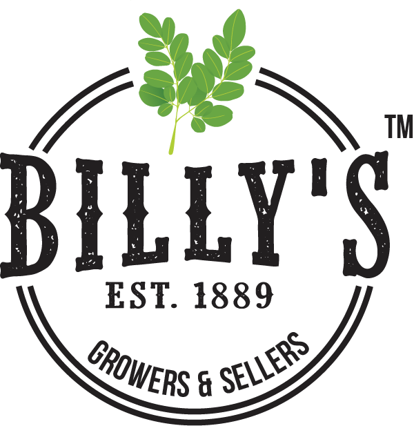 Billy's